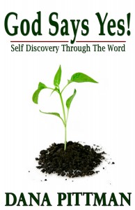 God Says Yes by Dana Pittman