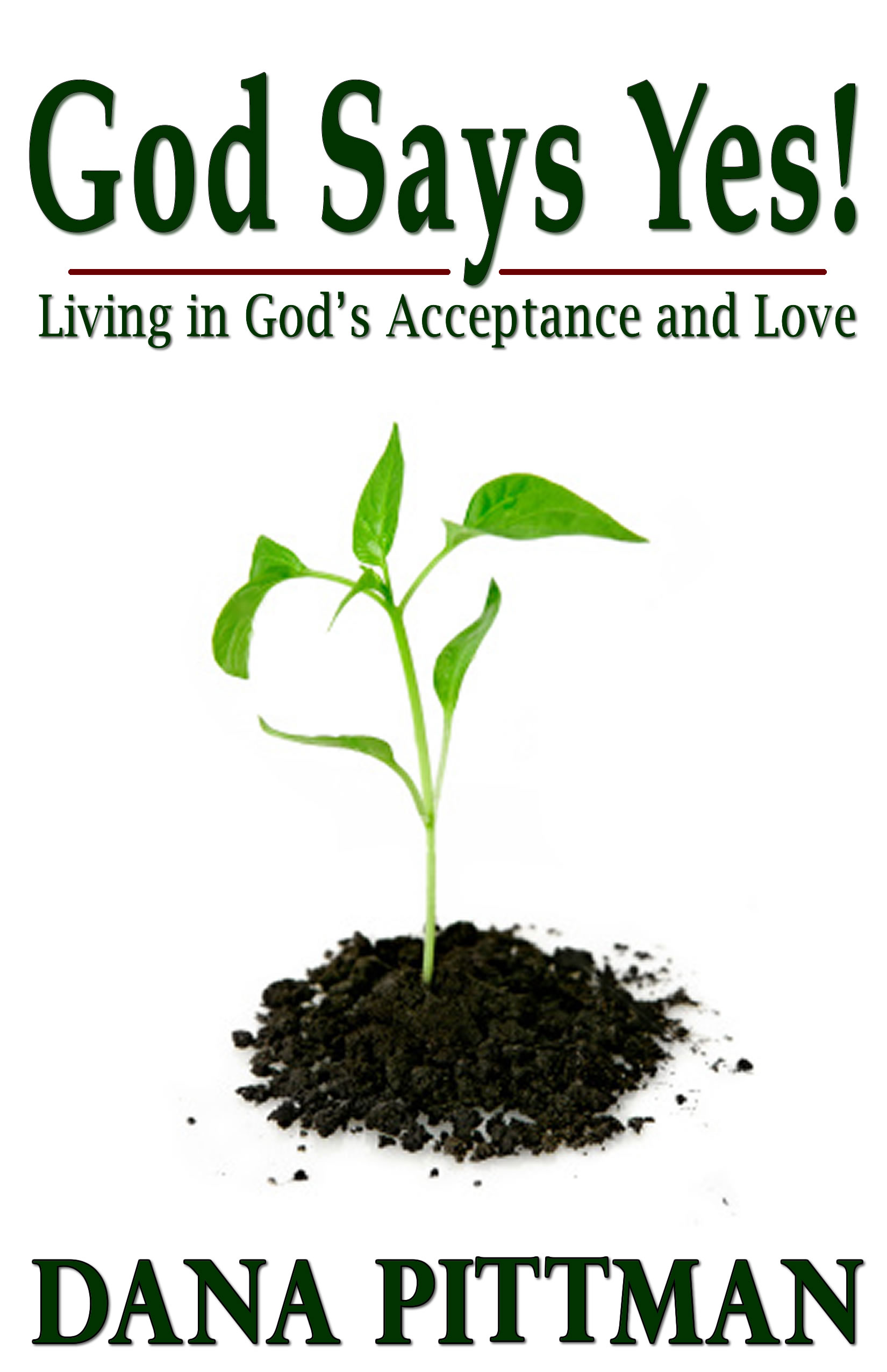God Says Yes by Dana Pittman
