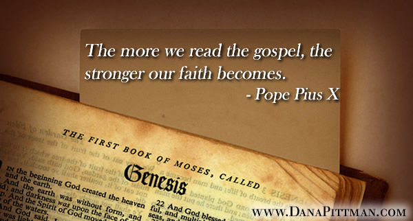 Bible Reading at Warp Speed by Dana Pittman
