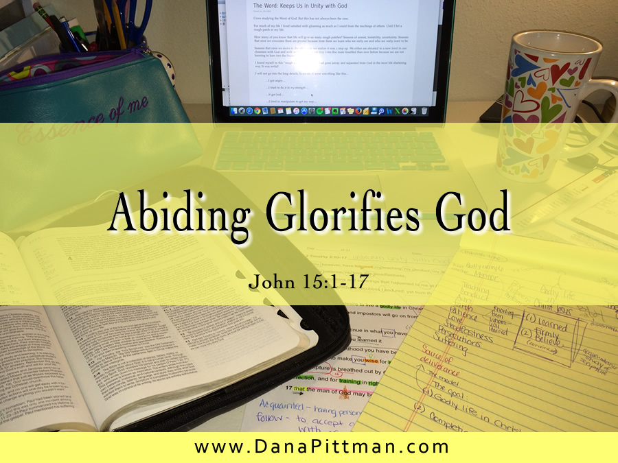 Day 6: Abiding Glorifies God | DanaPittman.com